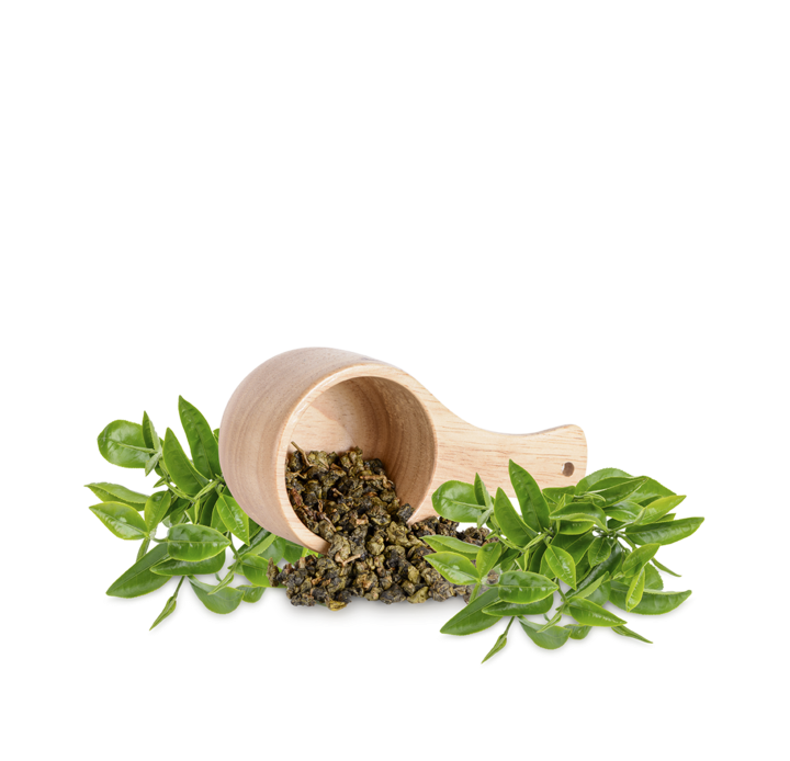 28-fresh-herbs