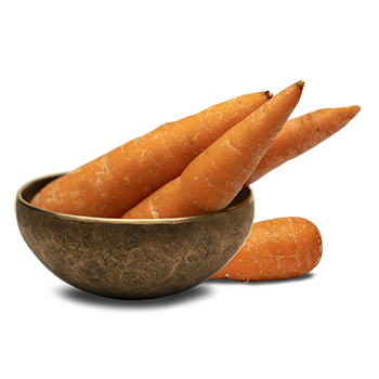 carrot