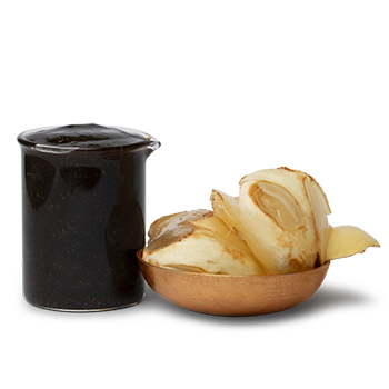 ice-apple-extract