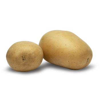 potato