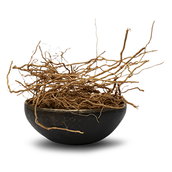 vetiver